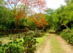 Hacienda San Jose Pachul