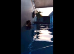 Pool Relaxing